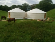 You can have a single yurt or even 2, 3 or 4 yurts attached together.